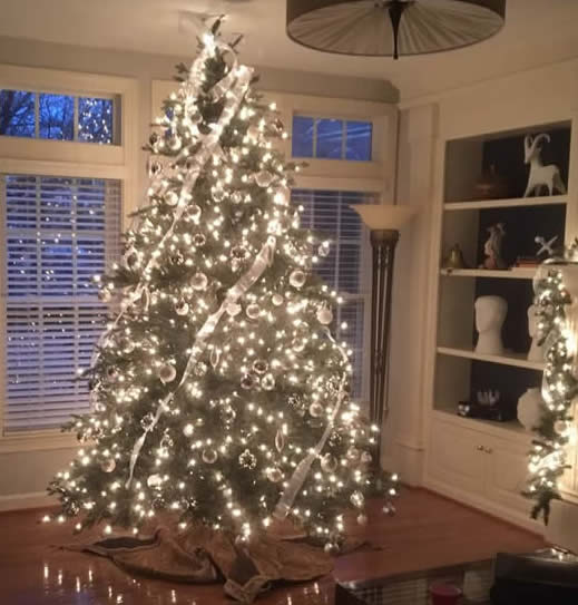 christmas tree decorators leesburg 